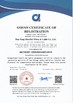 Cina NANTONG HWATEK WIRES AND CABLE CO.,LTD. Certificazioni